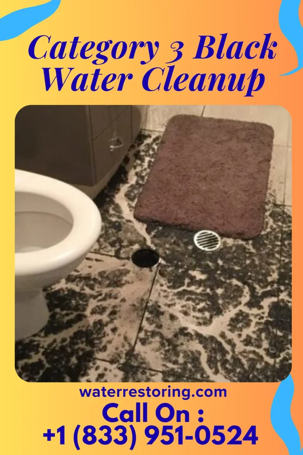 Category 3 Black Water Cleanup in Oak Grove, SC