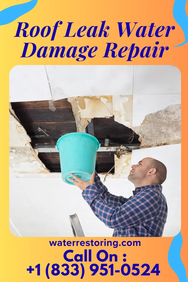 Roof Leak Water Damage Repair in Oak Grove, SC